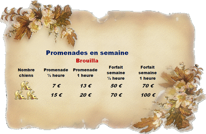 Promenade11
