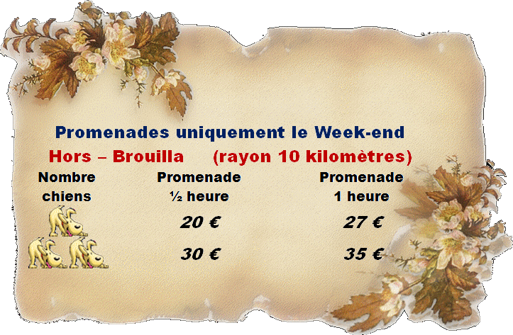 Promenade44