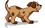 chien