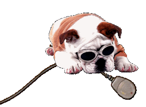 Chien_clic
