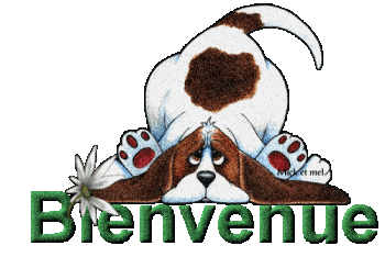 bienvenue3
