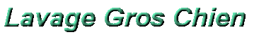 LavageGrosChien